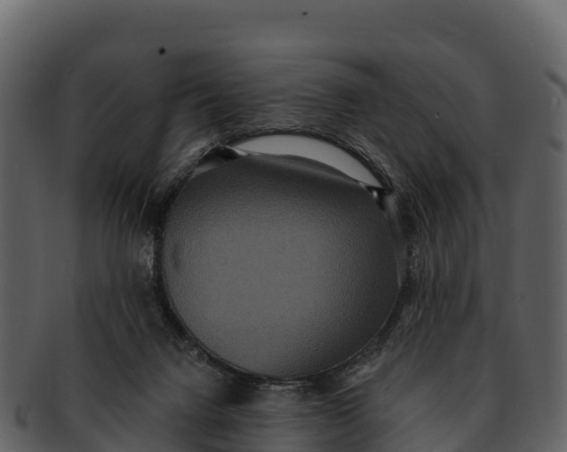 X0000092320072200710051304