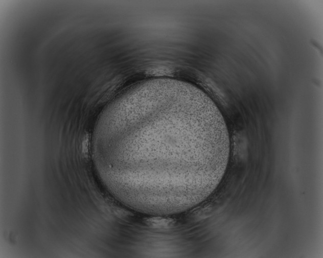 X0000092320073200710051304