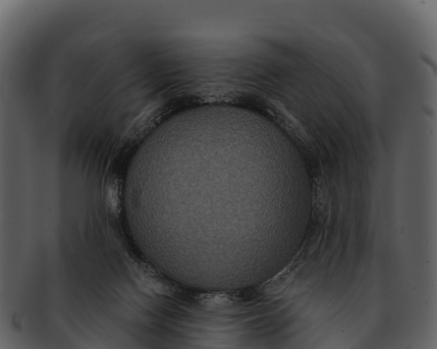 X0000092320074200710051304
