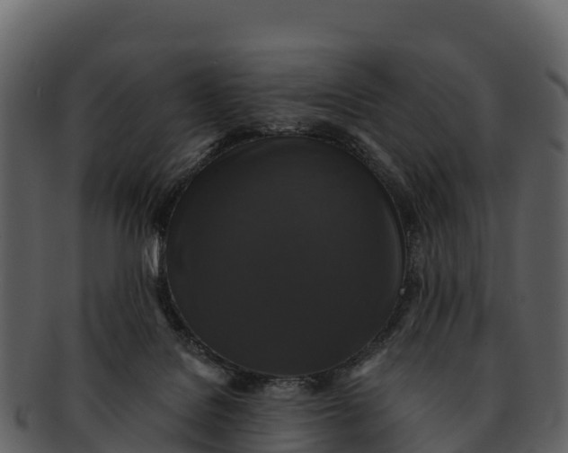 X0000092320076200710051304
