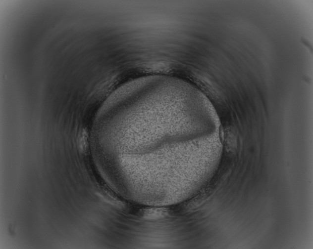X0000092320077200710051304