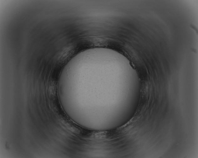 X0000092320078200710051304