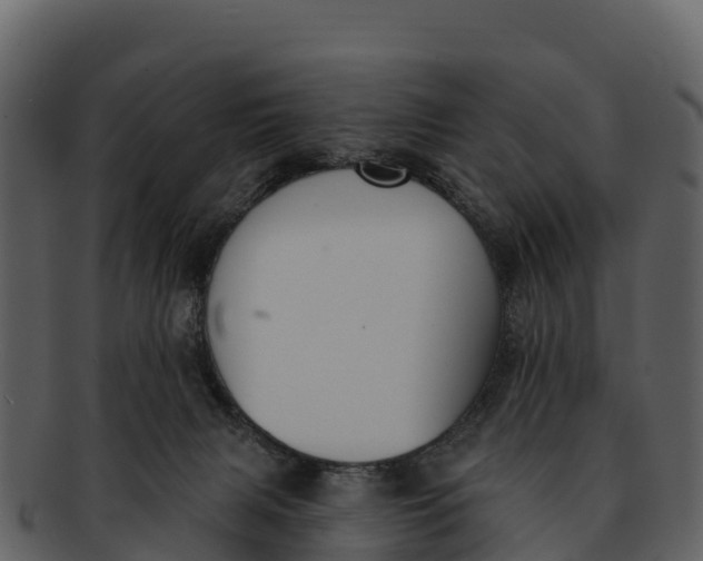 X0000092320079200710051304