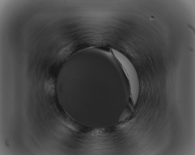 X0000092320080200710051304
