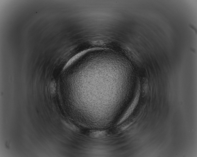 X0000092320081200710051304
