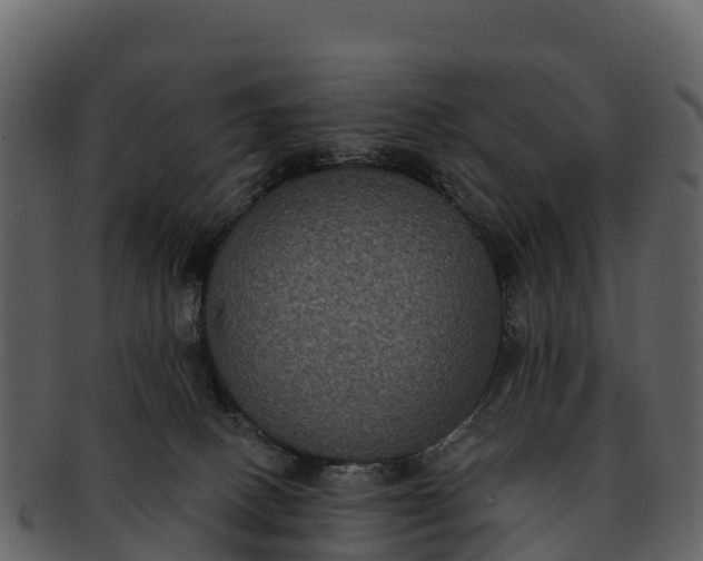 X0000092320082200710051304