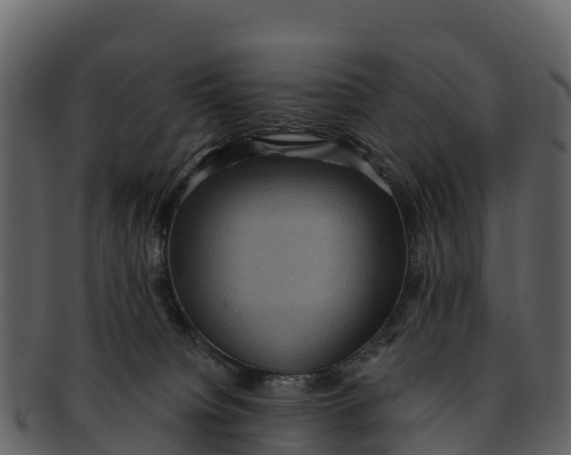 X0000092320084200710051304