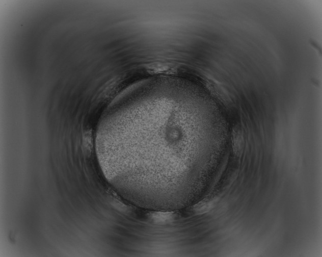 X0000092320085200710051304