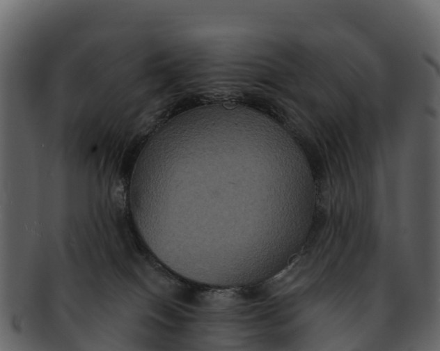 X0000092320086200710051304