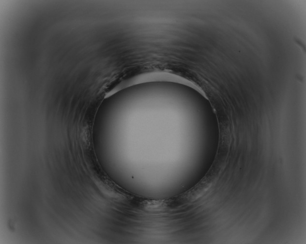 X0000092320088200710051304