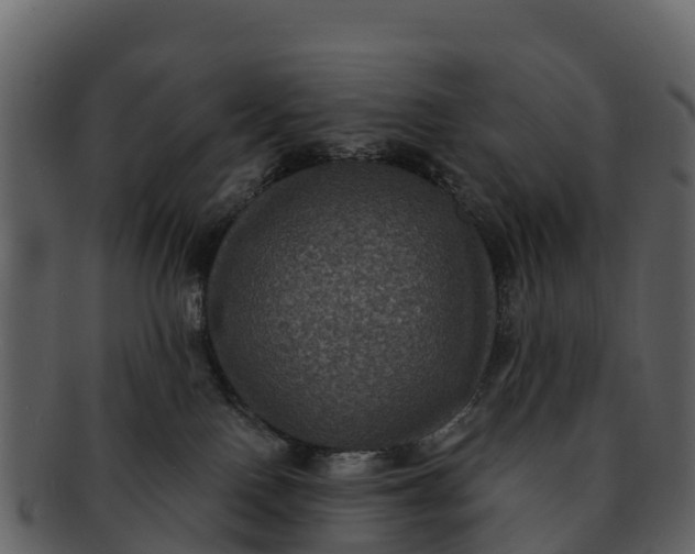 X0000092320090200710051304