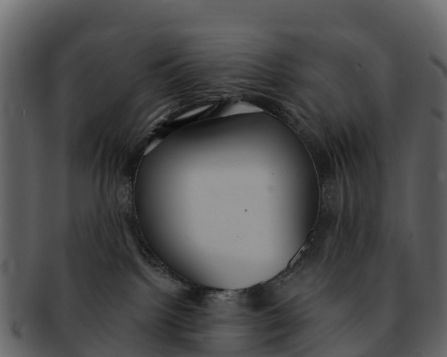 X0000092320092200710051304