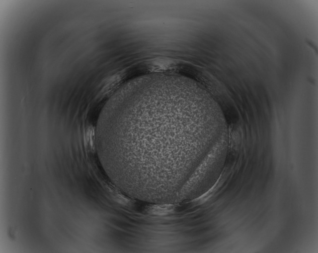 X0000092320094200710051304