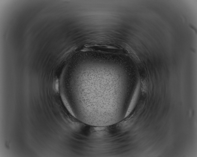X0000092320095200710051304