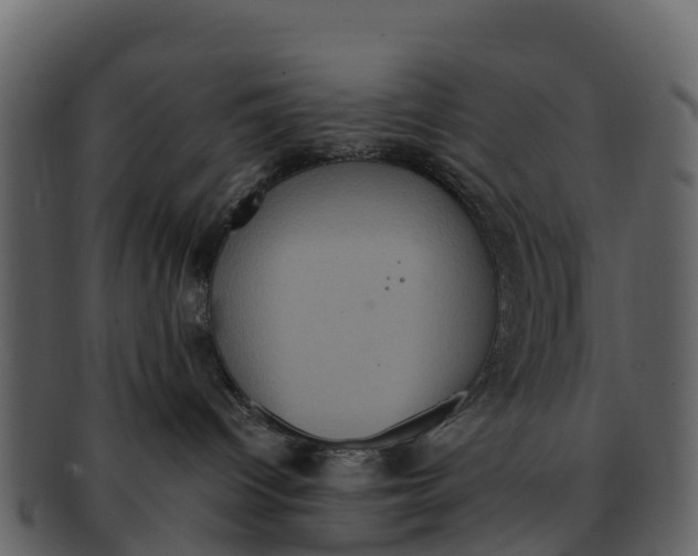X0000092320096200710051304