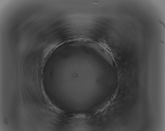 X0000092320097200710051304
