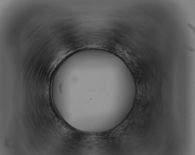 X0000092320098200710051304