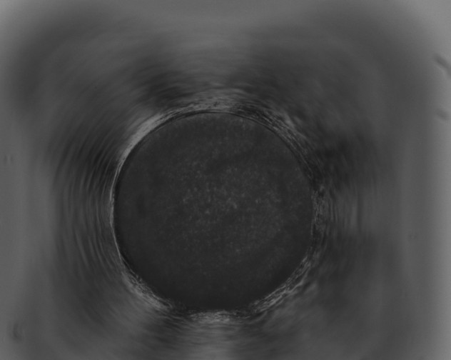X0000092320100200710051304