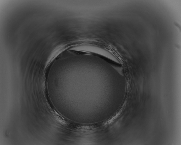 X0000092320101200710051304
