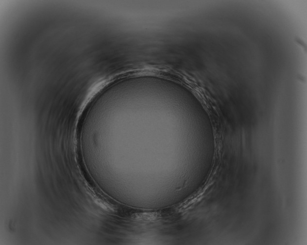 X0000092320102200710051304