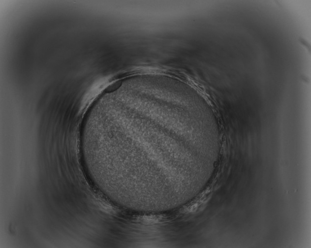X0000092320103200710051304