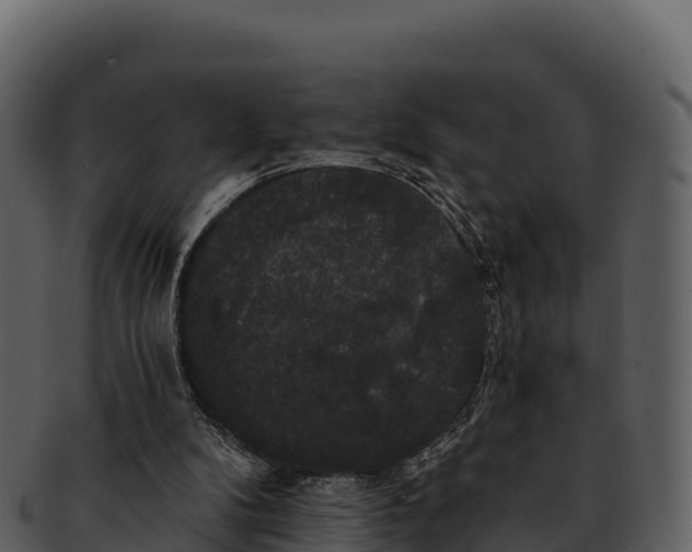 X0000092320104200710051304