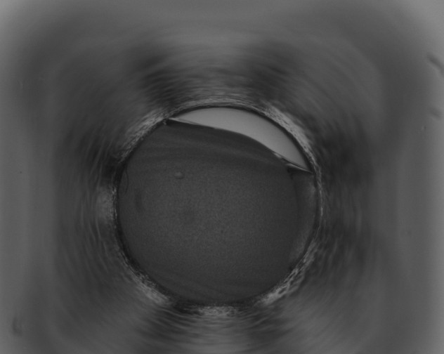 X0000092320105200710051304