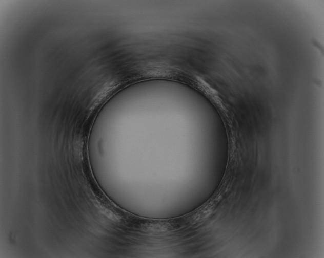 X0000092320106200710051304