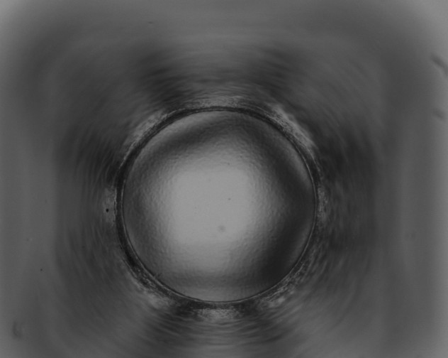 X0000092320107200710051304