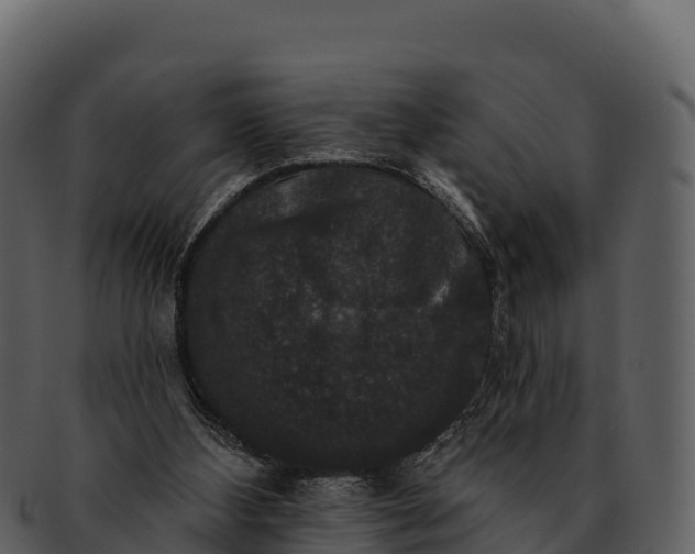 X0000092320108200710051304