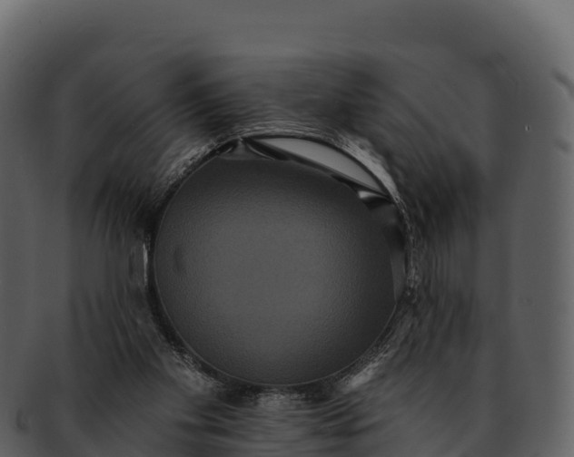 X0000092320109200710051304