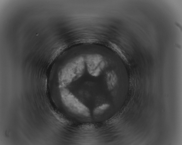 X0000092320110200710051304