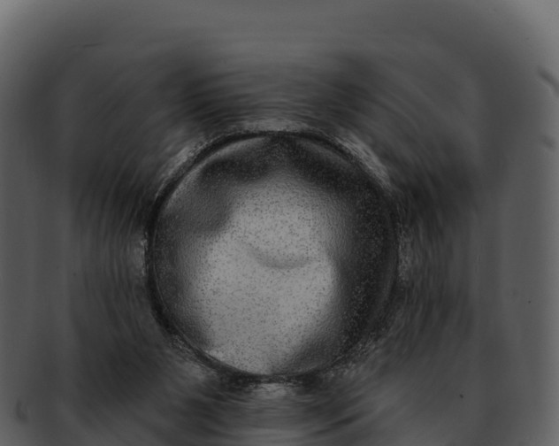X0000092320111200710051304