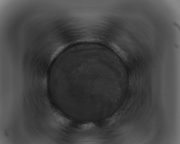 X0000092320112200710051304