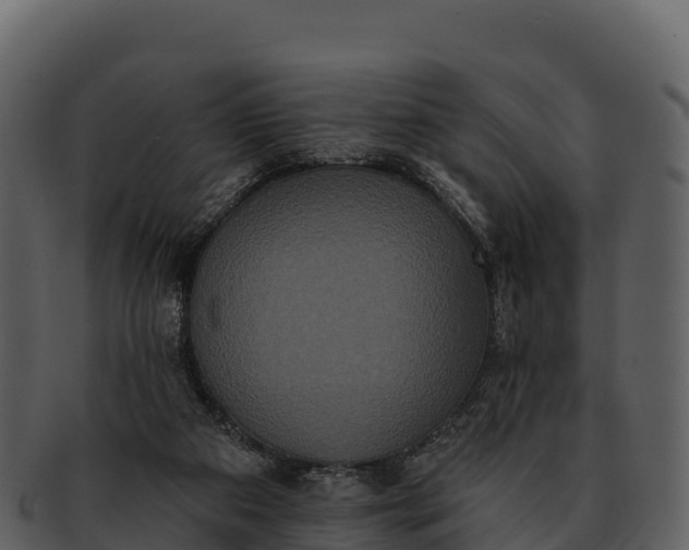 X0000092320113200710051304