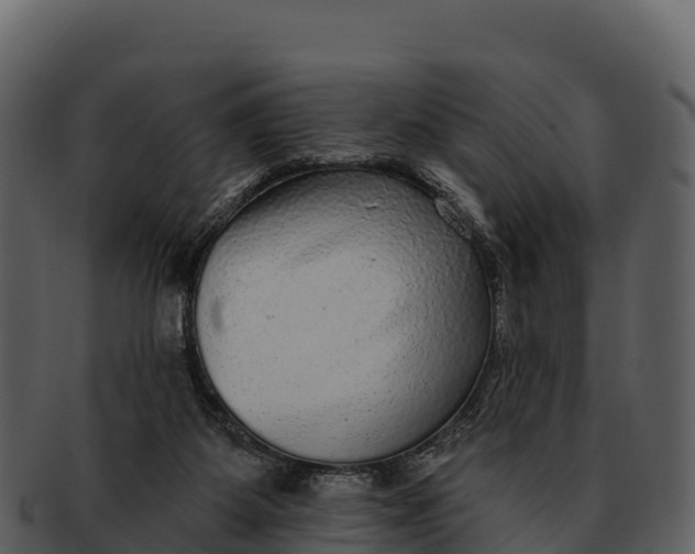 X0000092320115200710051304