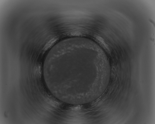 X0000092320116200710051304