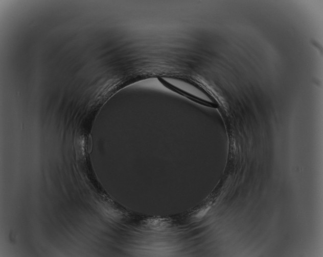 X0000092320117200710051304