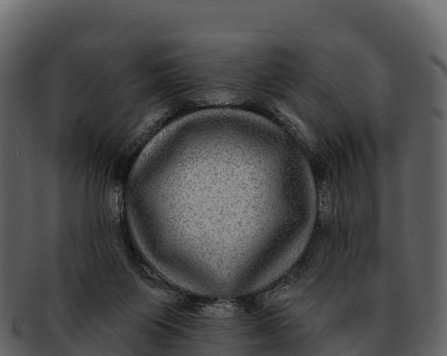 X0000092320119200710051304