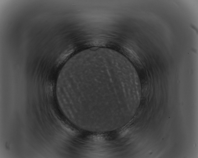 X0000092320120200710051303