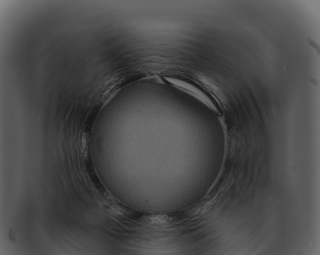 X0000092320121200710051303