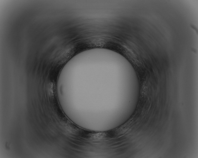 X0000092320122200710051303