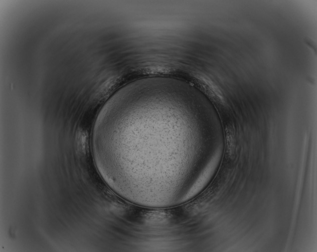 X0000092320123200710051303