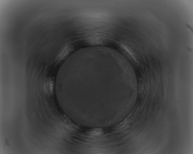 X0000092320124200710051303
