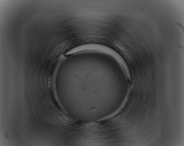 X0000092320125200710051303