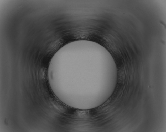 X0000092320126200710051303