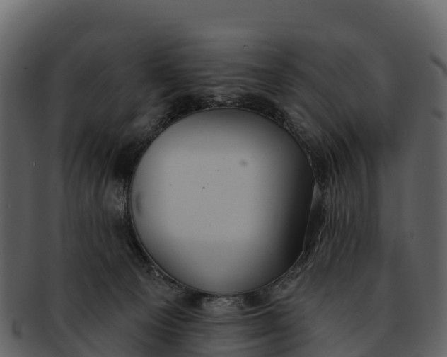 X0000092320129200710051303