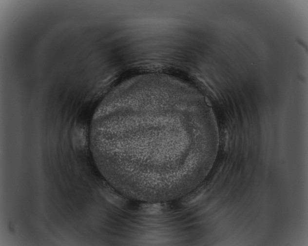 X0000092320131200710051303