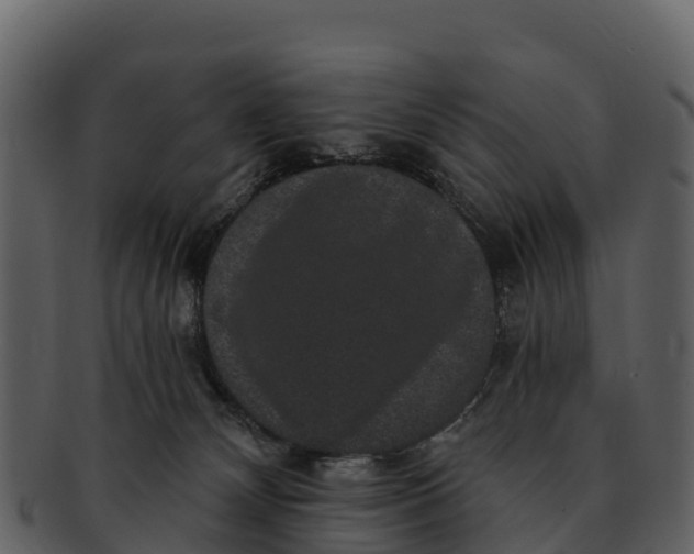 X0000092320132200710051303