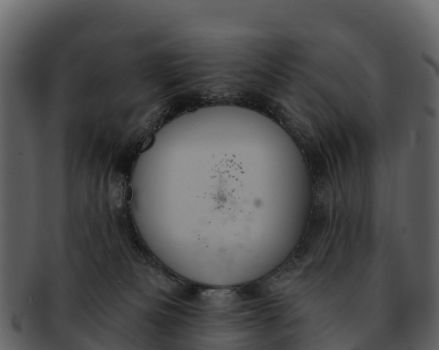 X0000092320133200710051303